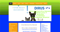 Desktop Screenshot of clinicaveterinariadirus.es